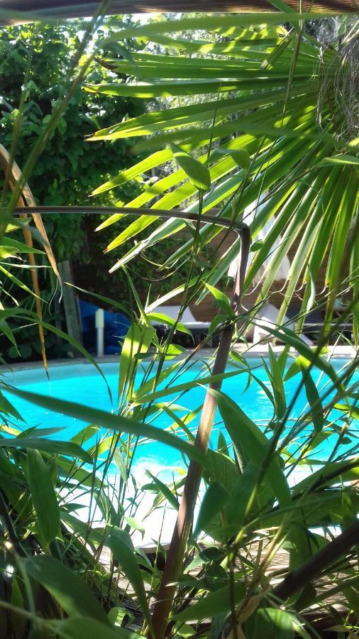 Guest house L'ilot Bambou Avignon
